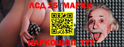 mdpv Кимры