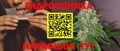 альфа пвп Кингисепп