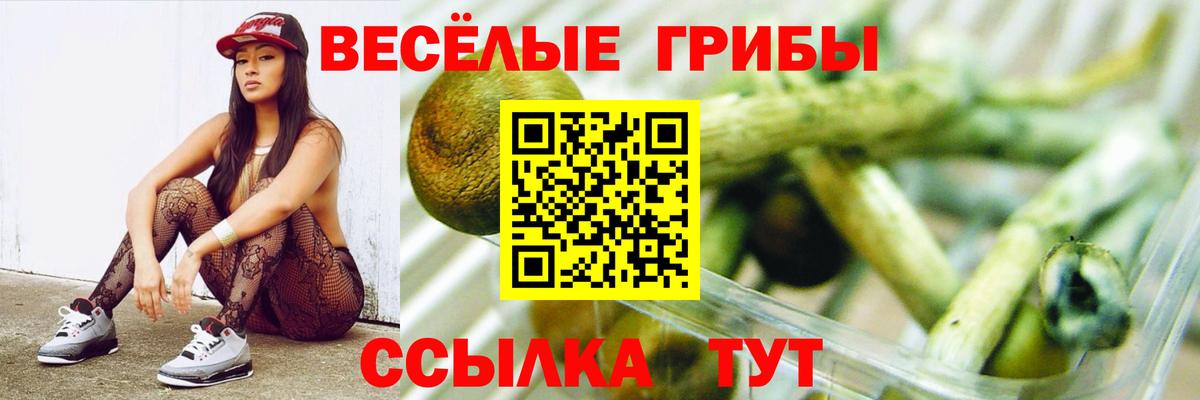 Псилоцибиновые грибы Psilocybe  Вход с VPN  Канаш 